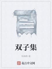 双子集