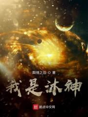 我是沐神