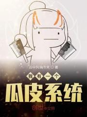 我有一个瓜皮系统