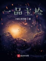 一品主检