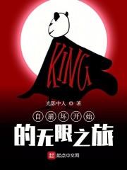 从崩坏开始的无限之旅