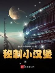 秘制小汉堡