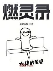 燃灵录