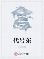 代号东