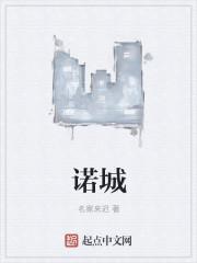 诺城