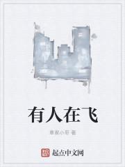 有人在飞