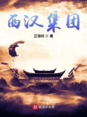 西汉集团