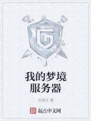 我的梦境服务器