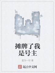 摊牌了我是号主