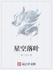 星空落叶