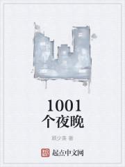 1001个夜晚