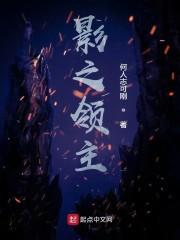 影之领主
