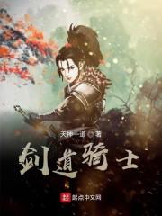 剑道骑士