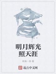明月辉光照天涯