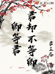 卿等君君却不等卿