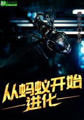从蚂蚁开始进化