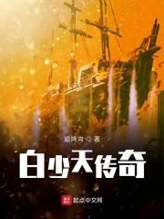 白少天传奇