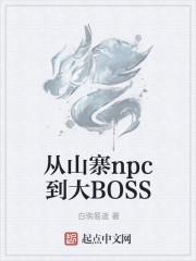 从山寨npc到大BOSS