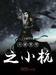 斗破苍穹之小杭