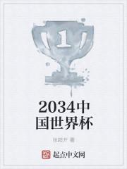 2034中国世界杯