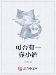 可否有一壶小酒