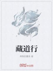 藏道行