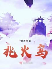 兆火鸟