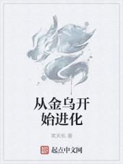 从金乌开始进化