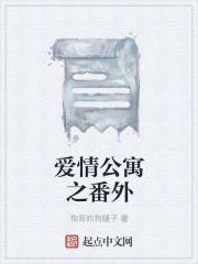 爱情公寓之番外