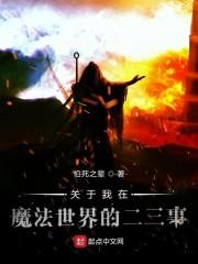 关于我在魔法世界的二三事