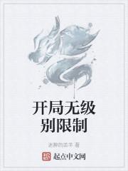 开局无级别限制