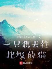 一只想去往北极的猫