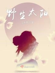 野生太阳