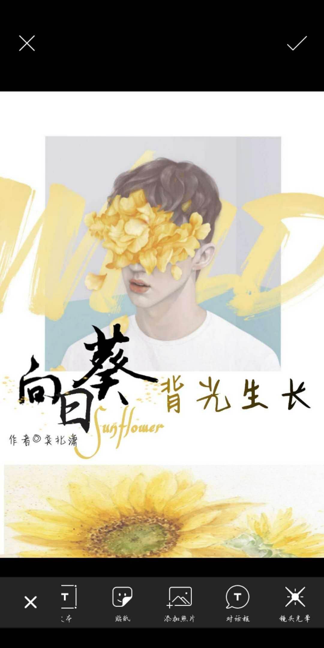 向日葵的背光生长