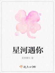星河遇你