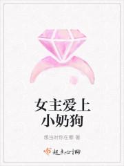 女主爱上小奶狗