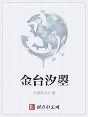 金台汐曌