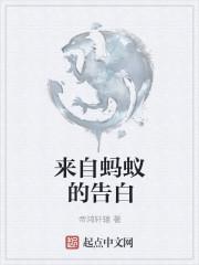 来自蚂蚁的告白