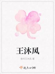 王沐风