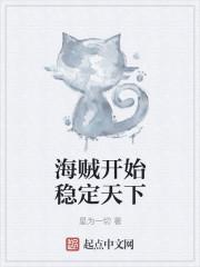 海贼开始稳定天下