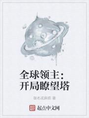 全球领主:开局瞭望塔