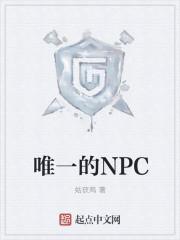 唯一的NPC