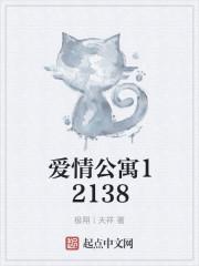 爱情公寓12138
