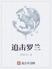 追击罗兰