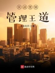 实战营销管理王道