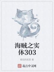 海贼之实体303