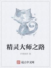 精灵大师之路