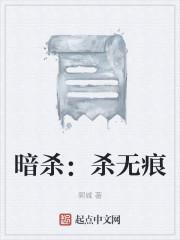 暗杀：杀无痕