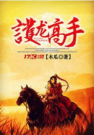 护龙高手