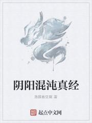 阴阳混沌真经